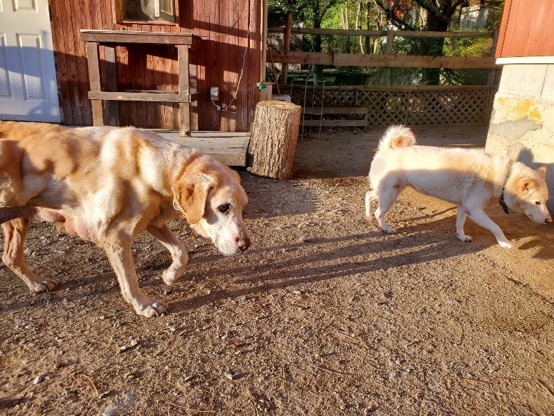 f:id:roukenhome-ann:20191106203410j:plain