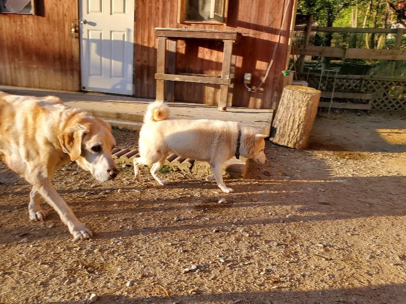 f:id:roukenhome-ann:20191106203438j:plain