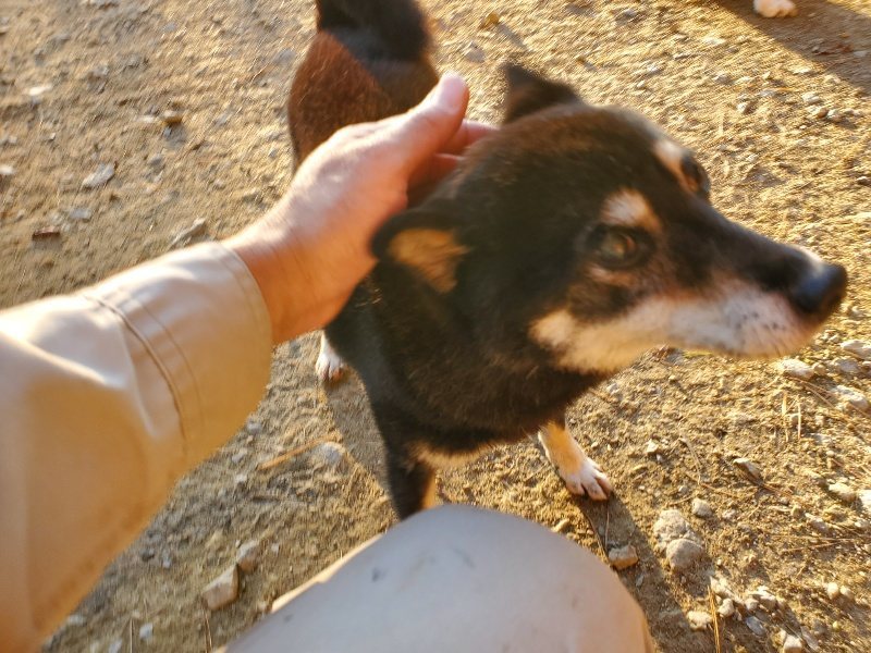 f:id:roukenhome-ann:20191106203529j:plain