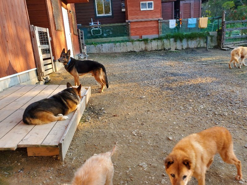 f:id:roukenhome-ann:20191106203640j:plain