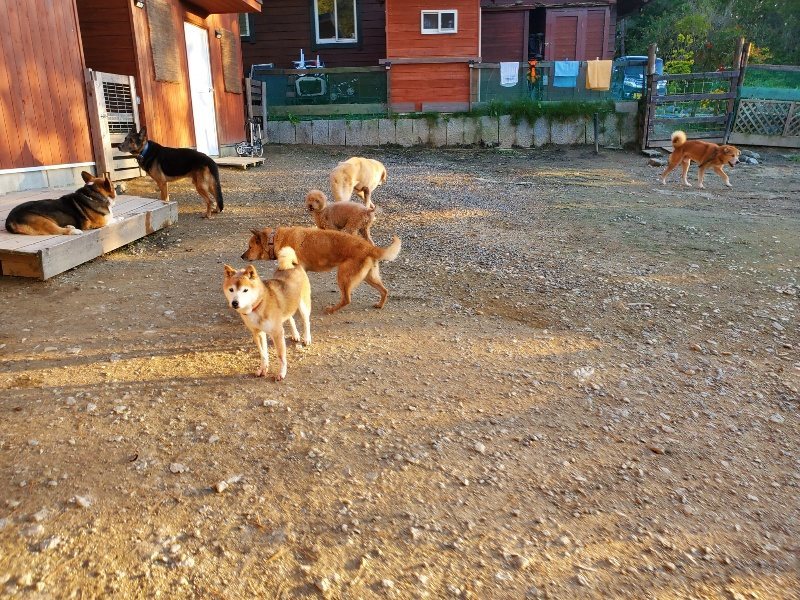 f:id:roukenhome-ann:20191106203734j:plain