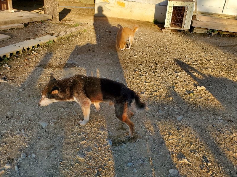 f:id:roukenhome-ann:20191106203809j:plain
