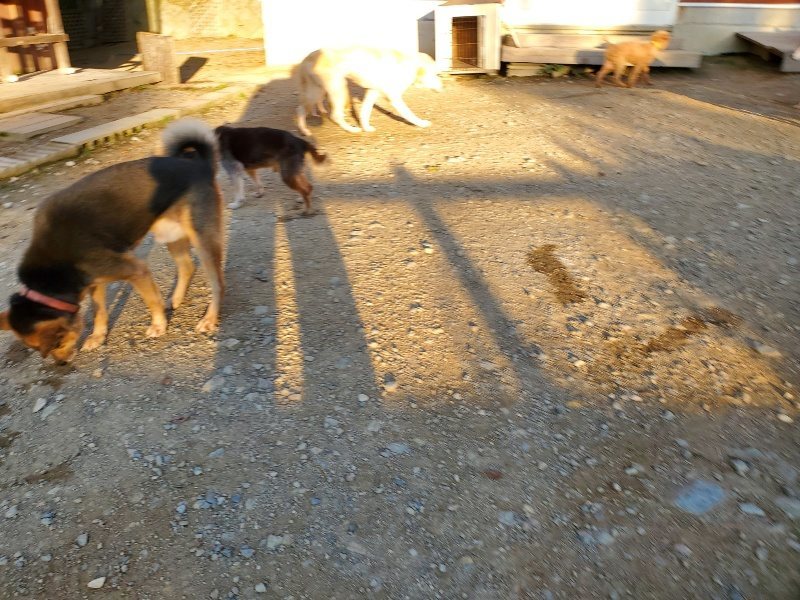 f:id:roukenhome-ann:20191106204143j:plain