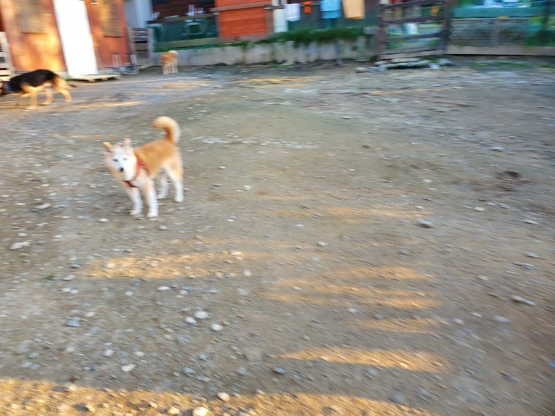 f:id:roukenhome-ann:20191106204156j:plain