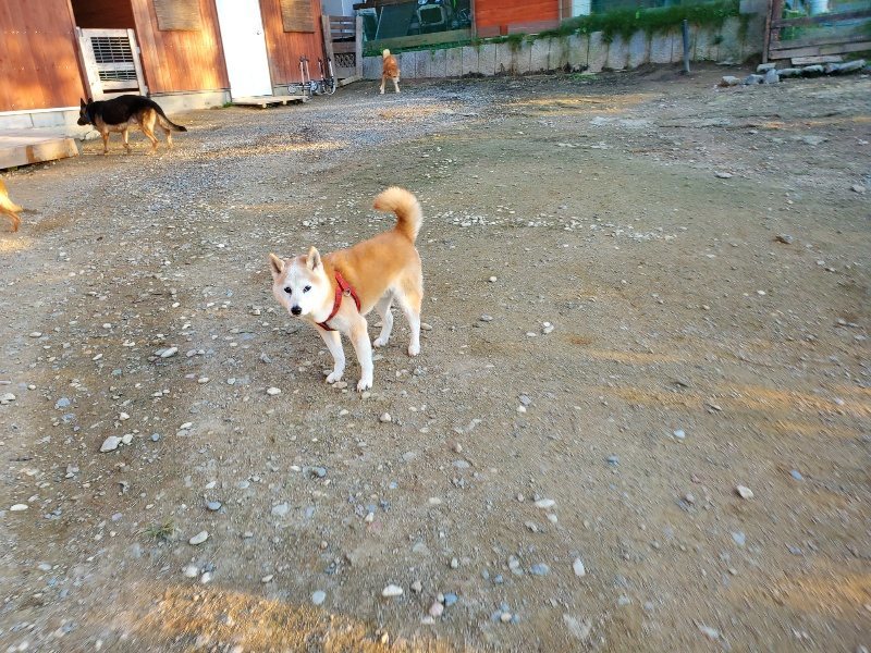 f:id:roukenhome-ann:20191106204207j:plain