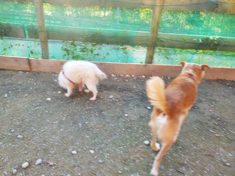 f:id:roukenhome-ann:20191106204216j:plain