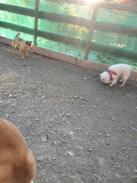 f:id:roukenhome-ann:20191106204326j:plain