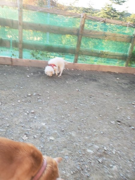 f:id:roukenhome-ann:20191106204348j:plain
