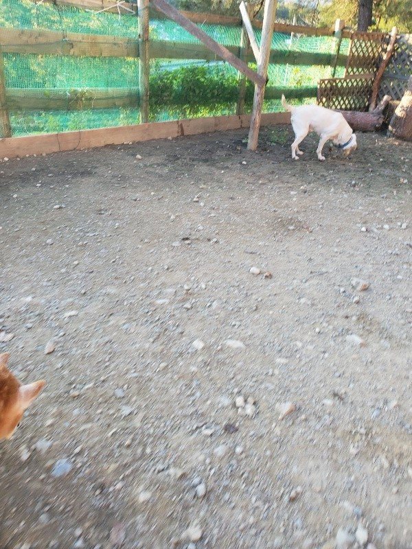 f:id:roukenhome-ann:20191106204359j:plain