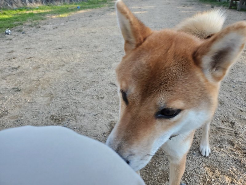 f:id:roukenhome-ann:20191106204451j:plain