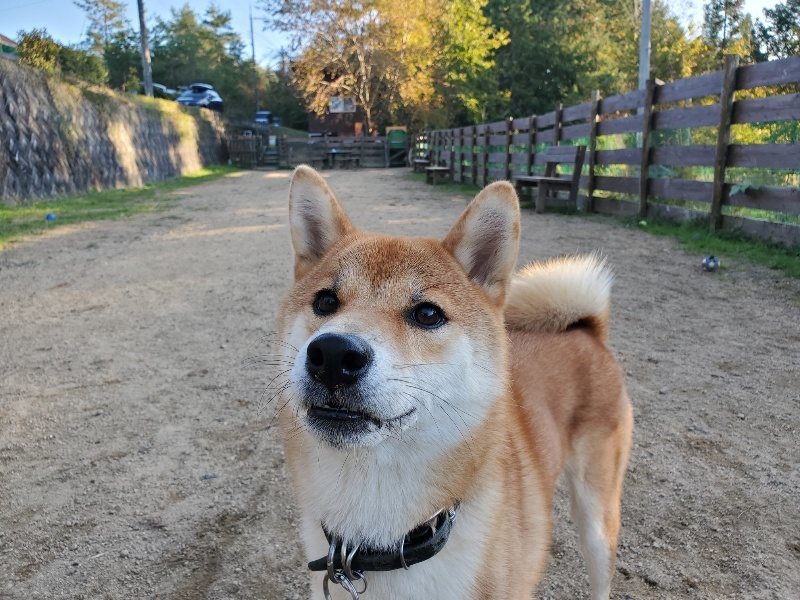 f:id:roukenhome-ann:20191106204505j:plain