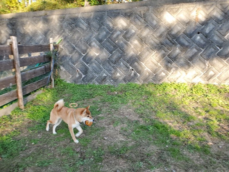 f:id:roukenhome-ann:20191106204609j:plain