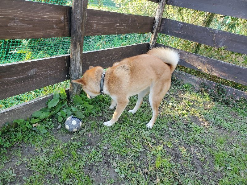 f:id:roukenhome-ann:20191106204616j:plain