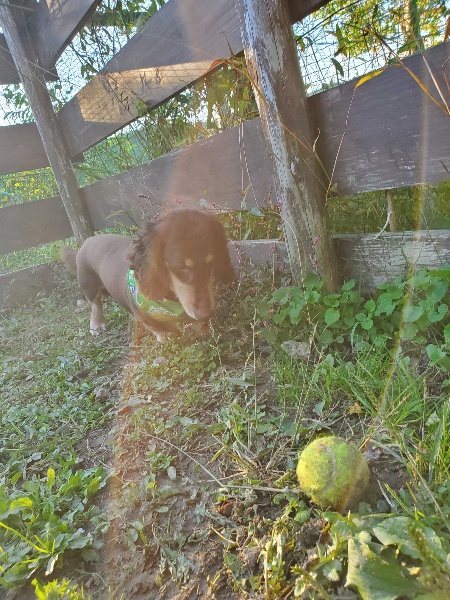 f:id:roukenhome-ann:20191106204823j:plain