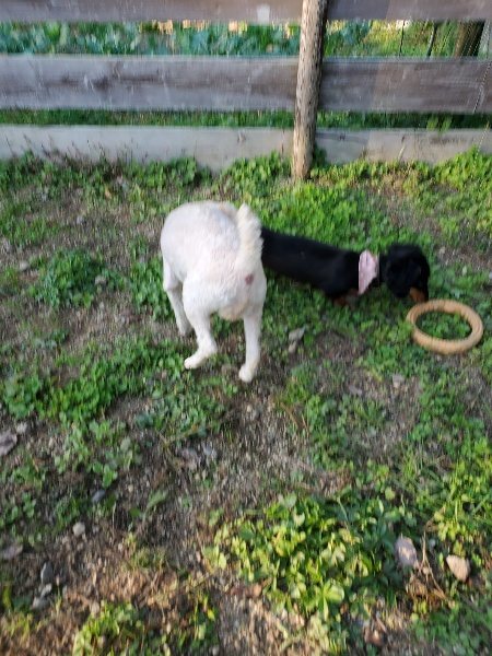 f:id:roukenhome-ann:20191106205126j:plain