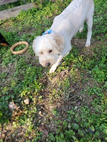 f:id:roukenhome-ann:20191106205138j:plain