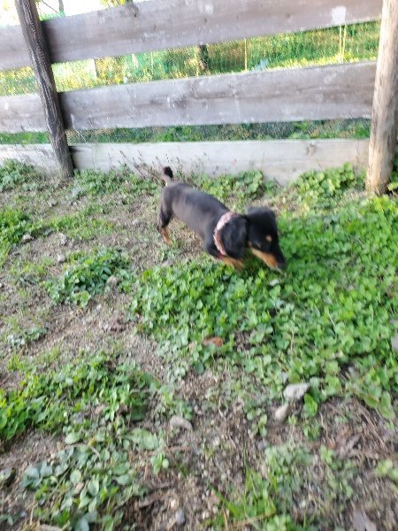 f:id:roukenhome-ann:20191106205155j:plain