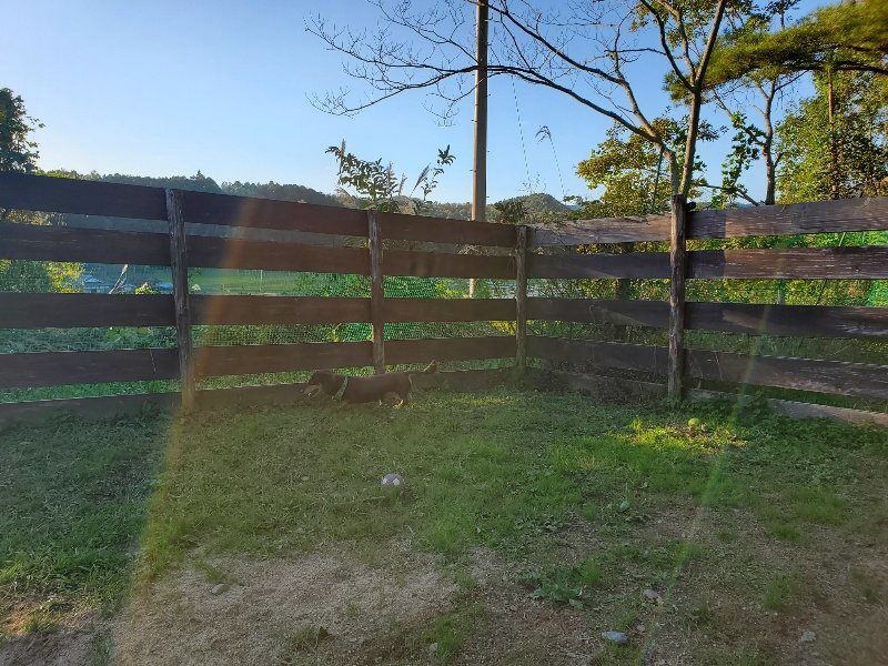 f:id:roukenhome-ann:20191106205321j:plain