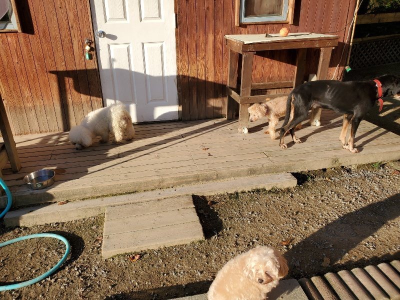 f:id:roukenhome-ann:20191106205421j:plain