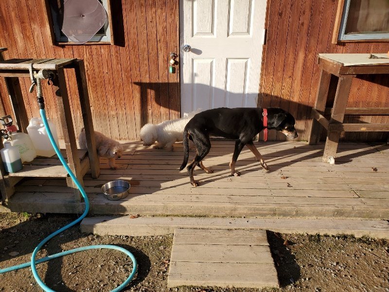 f:id:roukenhome-ann:20191106205438j:plain
