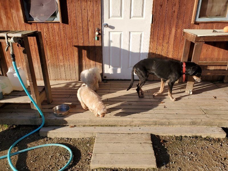 f:id:roukenhome-ann:20191106205454j:plain