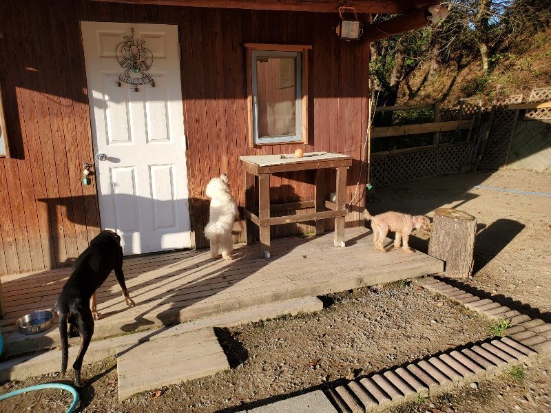 f:id:roukenhome-ann:20191106205505j:plain