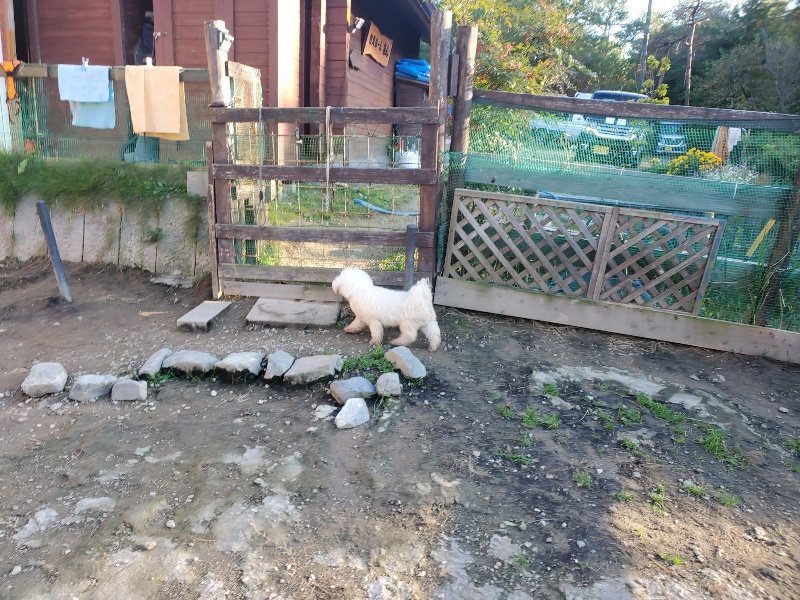 f:id:roukenhome-ann:20191106205625j:plain