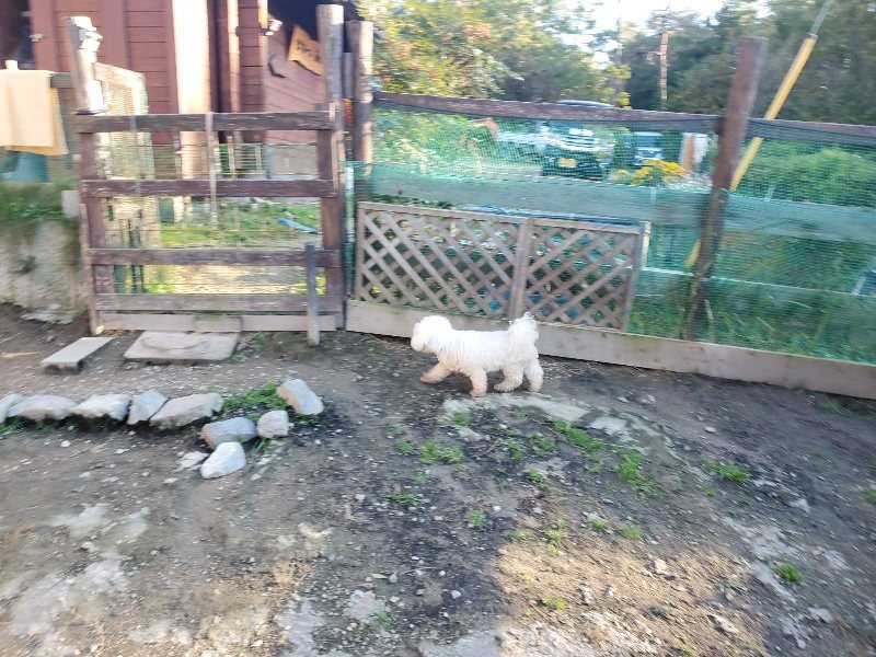 f:id:roukenhome-ann:20191106205654j:plain