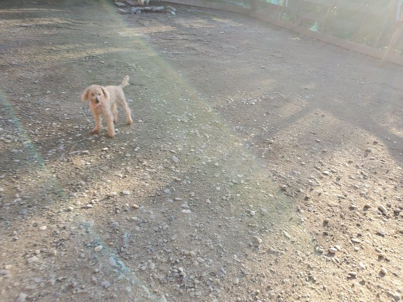 f:id:roukenhome-ann:20191106205718j:plain