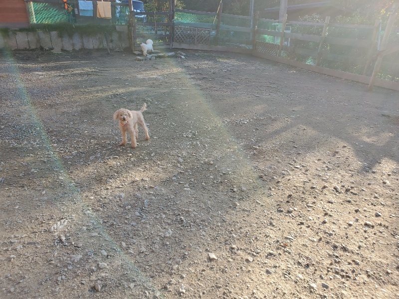 f:id:roukenhome-ann:20191106205744j:plain