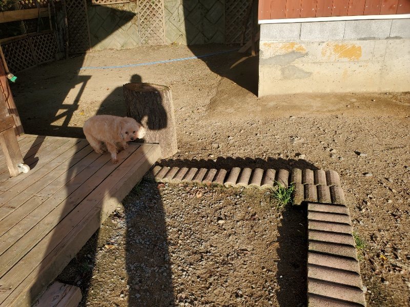 f:id:roukenhome-ann:20191106205754j:plain
