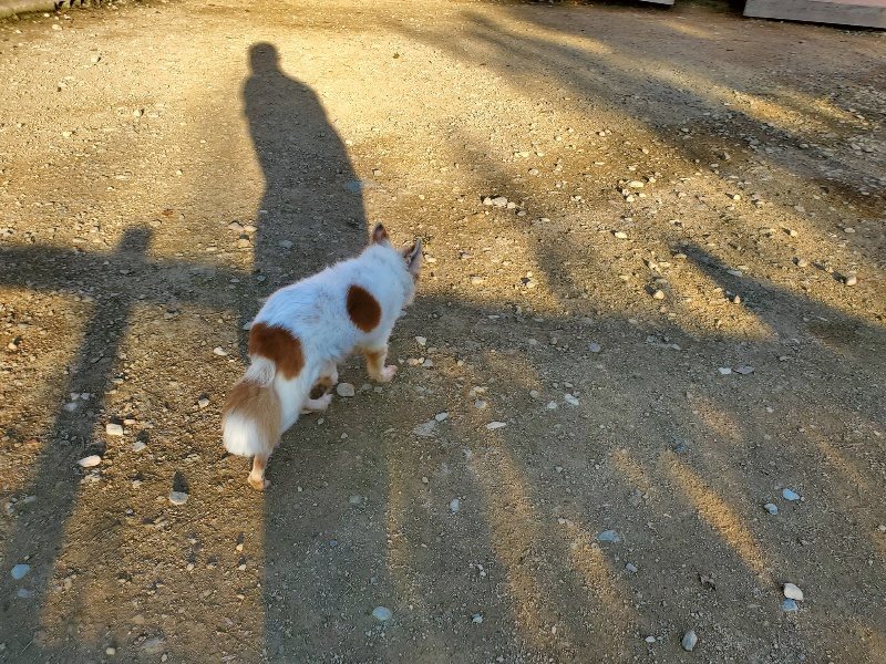 f:id:roukenhome-ann:20191106205953j:plain