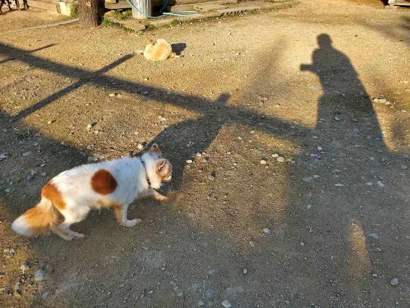f:id:roukenhome-ann:20191106210013j:plain
