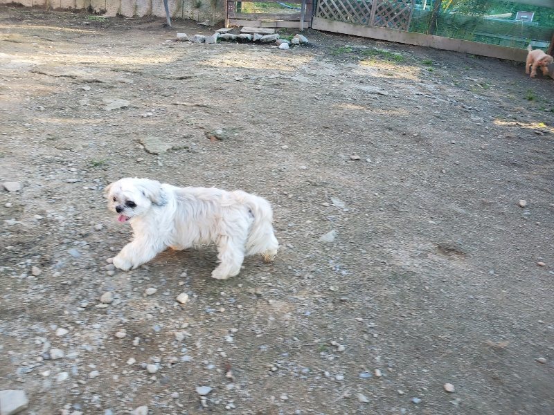 f:id:roukenhome-ann:20191106210022j:plain
