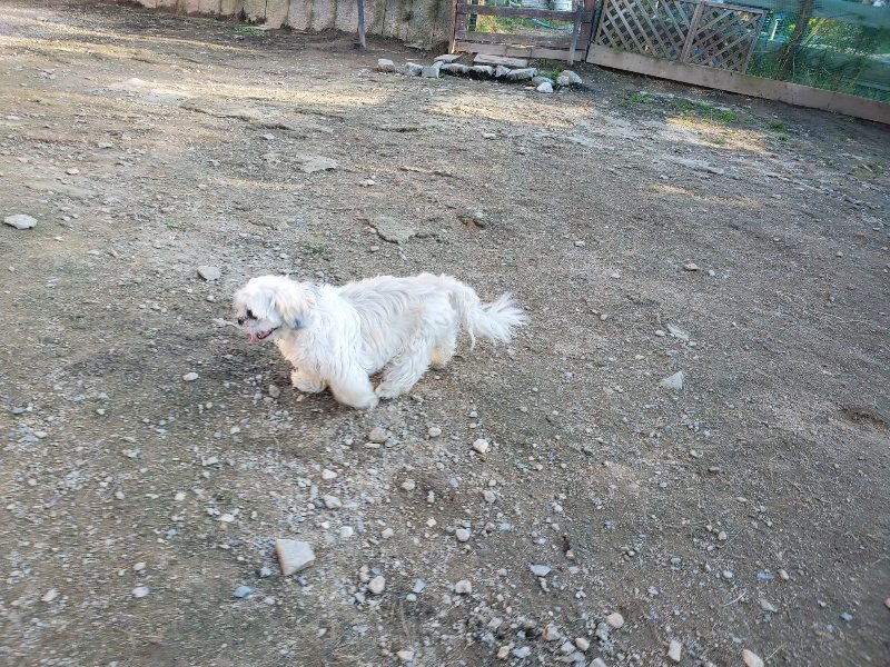 f:id:roukenhome-ann:20191106210055j:plain