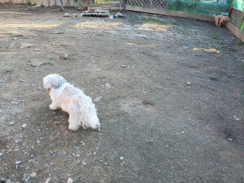 f:id:roukenhome-ann:20191106210105j:plain