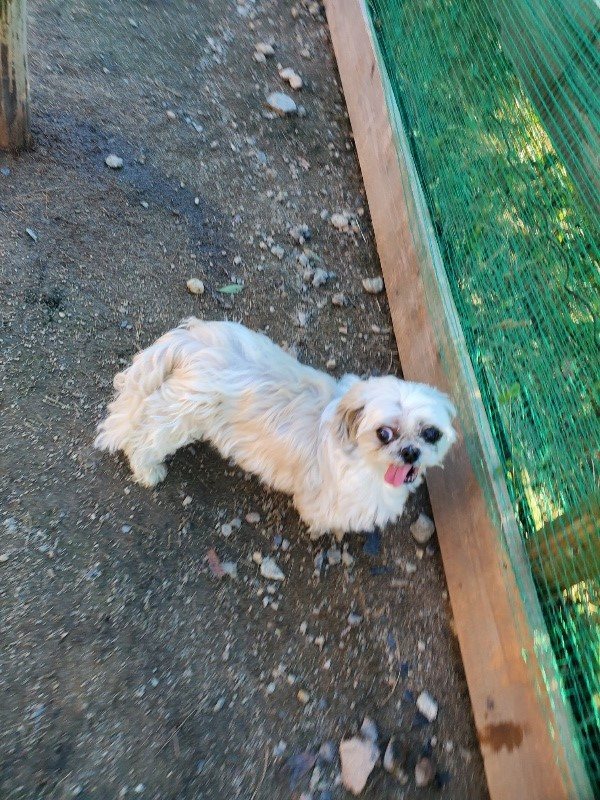 f:id:roukenhome-ann:20191106210208j:plain