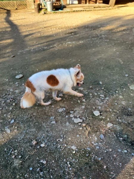 f:id:roukenhome-ann:20191106210241j:plain