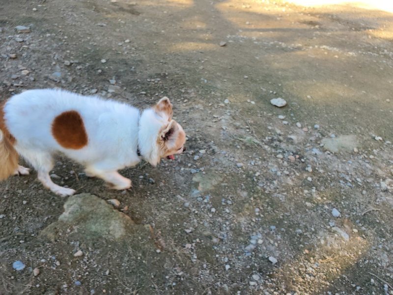f:id:roukenhome-ann:20191106210247j:plain