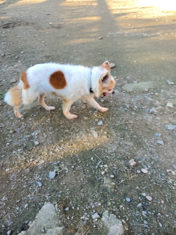 f:id:roukenhome-ann:20191106210256j:plain