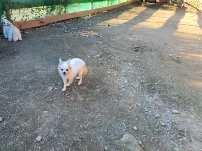 f:id:roukenhome-ann:20191106210303j:plain