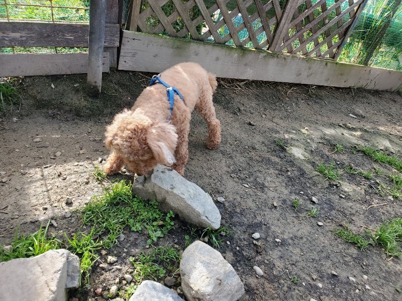 f:id:roukenhome-ann:20191107130906j:plain