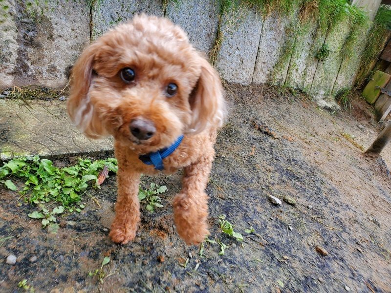 f:id:roukenhome-ann:20191107131035j:plain