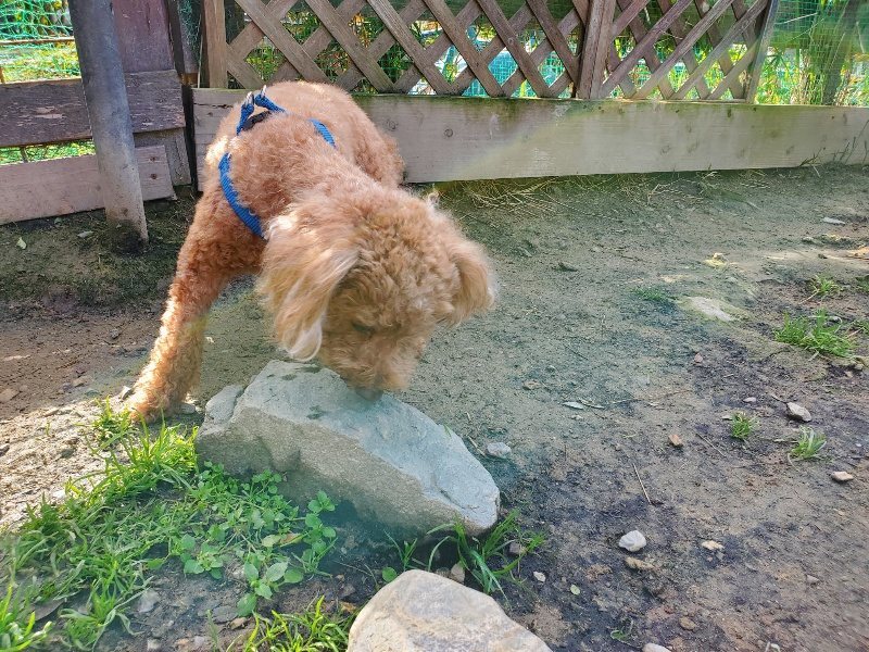 f:id:roukenhome-ann:20191107131055j:plain