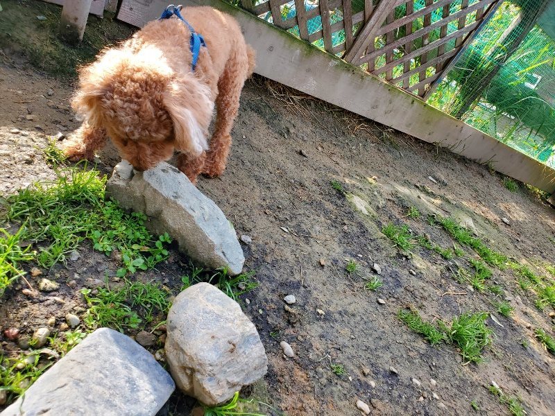 f:id:roukenhome-ann:20191107131101j:plain