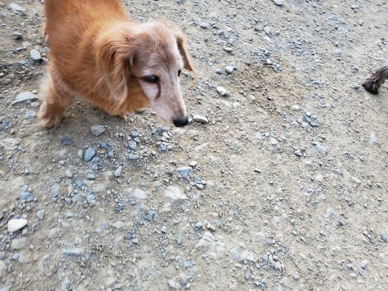 f:id:roukenhome-ann:20191112192730j:plain