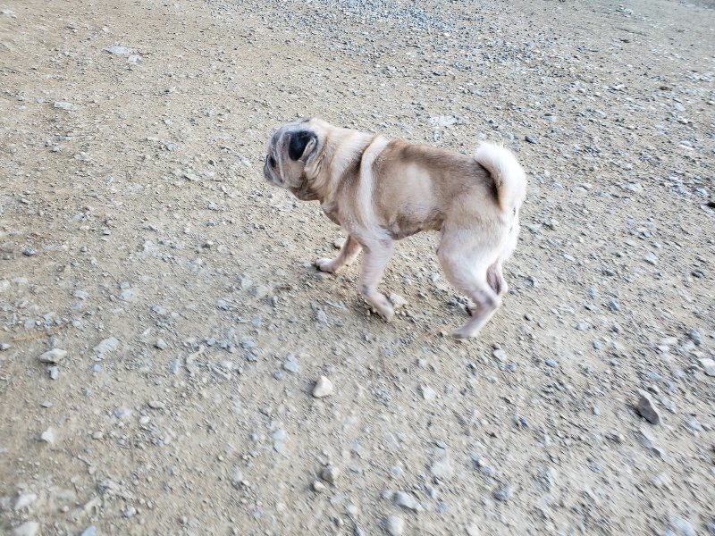 f:id:roukenhome-ann:20191112192758j:plain