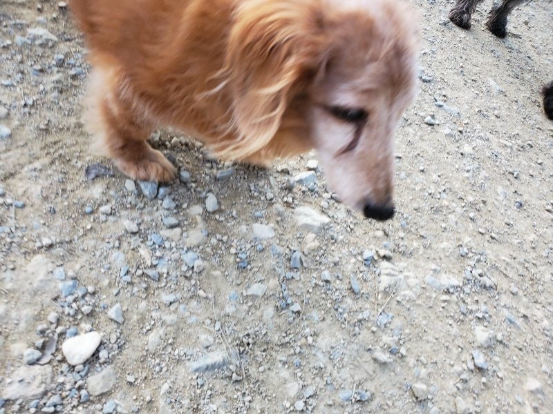 f:id:roukenhome-ann:20191112192816j:plain