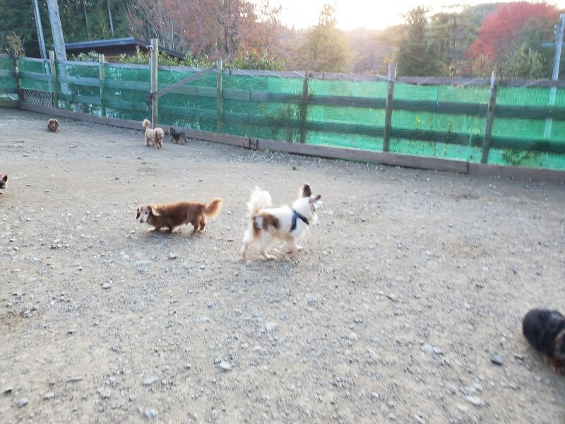 f:id:roukenhome-ann:20191112193019j:plain