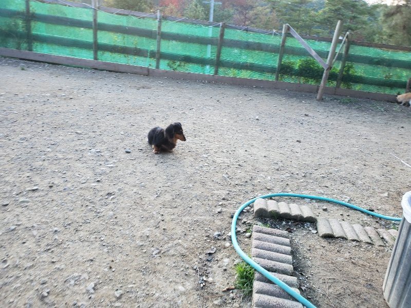 f:id:roukenhome-ann:20191112193045j:plain